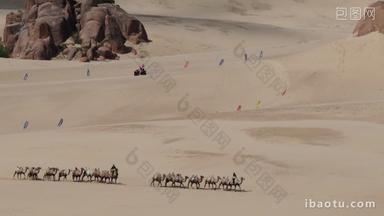 沙漠中骆驼行走自然风光航拍